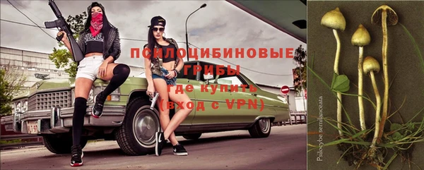 прущий лед Алексин