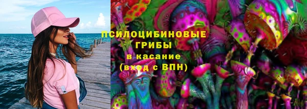 метадон Алексеевка