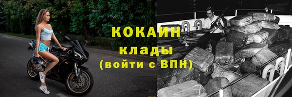стафф Надым