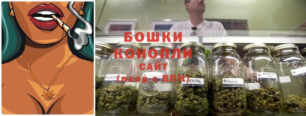 стафф Надым
