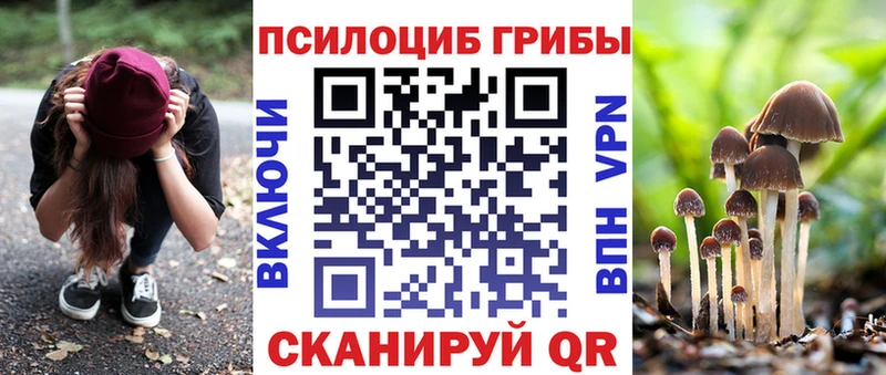 закладка Южно-Сахалинск нарко площадка телеграм Псилоцибиновые грибы ЛСД