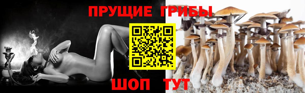 Псилоцибиновые грибы GOLDEN TEACHER  Псилоцибиновые грибы MAGIC MUSHROOMS  Вход с VPN  Южно-Сахалинск 